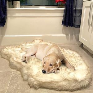 iHappyDog Luxury Faux Fur Orthopedic Dog Bed, Memory Foam Dog Bed​ for​ Small, Medium, Large and XL Pets, Fluffy Pet Rug with Waterproof ​& ​Washable Cover, Bone White, Medium 40x25