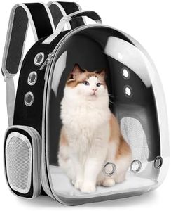 XZKING Cat