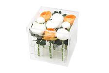 Better Display Cases Clear Acrylic Flowers Display Case for Wedding and Home, 9 Holes (A053)