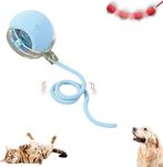 Interactive Cat Ball Toy, New Agility Move Cat Balls, Automatic Cat Ball Toys with Cord Imitation Mouse, Smart Self Rolling Interactive Cat Dog Ball for Dog/Cat (Blue)