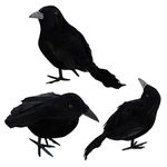 Crows