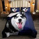 Erosebridal Husky Down Comforter Cute Dog Print Comforter Set Kawaii Animals Puppy Bedding Set for Kids Boys Girls Husky Dog Blue Starry Sky Quilted Duvet with 1 Comforter & 3 Pillow Cases Queen Size