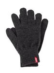 Levi's Men's Ben Touch Screen Gloves Gloves, Grey (Dark Grey), Small