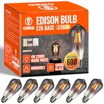 OMED Smoke Grey Dimmable Vintage Edison Bulbs 40 Watt Equivalent, ST58/ST19 4W LED Light Bulbs with Standard E26 Base, 200 Lumens 2200K Warm White Antique Light Bulbs for Bedroom Kitchen Island