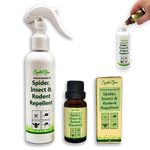 Makes 100+ Bottles Spider, Insect & Rodent Repellent Spray. Tried & Trusted. Ultra Effective Peppermint, Lavender & Citronella Blend. Natural, Economical, Humane & Safe. Deters 100s of Pests & Bugs.