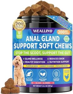 Anal Gland