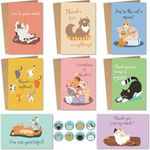 24 Funny Cats Thank You Cards With Envelopes & Stickers, Assorted Cats Pun Appreciation Cards for Kids Business Employee, Cute Cat Bulk Note Cards Stationery Box Set