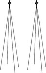 Achla Designs FT-21 Fleur-de-lis, 78-Inch Wrought Iron Garden Stake Trellis, Black (Pack of 2)