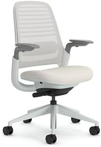 Steelcase Series 1 Ergonomic Office Chair With LiveBack Lumbar Support And 4D Armests Seagull; Made in Europe, Beige