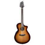 Breedlove Solo Pro Concert 12-String CE Acoustic-Electric Guitar - Edgeburst
