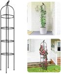 Idzo Plastic Obelisk Trellis for Cl