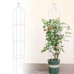 6 Feet Tall Garden Trellis for Climbing Plants Kalolary Garden Tower Obelisk Trellises Rustproof Metal Potted Plant Climbing Support for Indoor Outdoor Flowers Vegetable Fruits Vines Support (White)