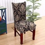 Styleys Stretchable Printed Dining Chair Covers Washable Elastic Chair Seat Case Protector, Slipcover for Home, Kitchen, Party, Restaurant (SLMC123 Royal Black/Gold, 1),Polyester;Polyester Blend