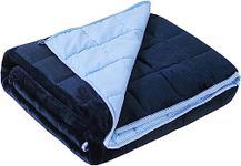 Satwip Weighted Blanket 20 lbs Queen Size Fuzzy Warm Flannel Throw Blanket with Soft Breathable Sanded, 60 x 80 inches, Blue