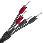 AudioQuest - Rocket 11 Single Bi-Wire Speaker Cable with Silver Banana Connectors (8ft, Single Cable)