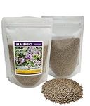 Algonquin Alfalfa Seed for Hay, Pasture or Silage (300 Grams) (Algonquin Alfalfa Seed 300g)