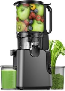 Juicer Machines with 5.8" Large Feed Chute, 400W Cold Press Juicer for Whole Vegetables and Fruits, Slow Masticating juicer Easy to Clean Juice Extractor Machine High Juice Yield(Titanium Gray)