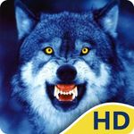 Cool Wolf HD Wallpapers