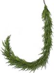 ENVEN 9FT Real Touch Norfolk Pine C