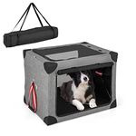 Dog Kennel Carrier