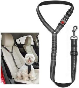 Dog Seat B