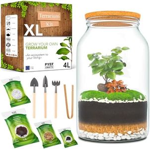 PYEF CRAFTS Bottle Garden Complete Set XL for Ecosystem in Glass - 4L Terrarium Plants for Biotope in Glass - Biosphere in Glass Terrarium Set - Bottle Garden Glass Large XXL Kit Without Plant (4 L)
