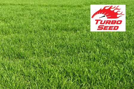 Avern Turbo Cold Winter Grass Seed, 2.6kg – Fast Growing Lawn