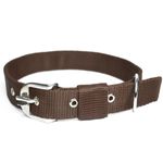 YOUNIQUE MERCHANDISE Fancy Nylon Export Quality Dog Collar (Medium, Brown)