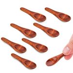 8pcs Small Wooden Spoons, 2.36in Mini Condiment Spoons Little Wooden Teaspoons Tiny Salt Spoon Short Handle Wood Serving Utensils for Sauces Salt Sugar Spices Dips Honey Coffee Mustard Cooking