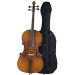 Vasitelan Full-Size Cello, Beginner Cello 4/4, Acoustic Cello Kit with Portable Bag, Bow, Bridge, Rosin, String Musical Instruments (Wood Color)