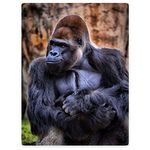 456 Throw Blankets Gorilla African Animals Wild Blanket 125x150cm Soft Sofa Bed Blanket Reversible Plush Blanket Anti-Fade Microfiber Blanket For Couch