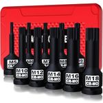 Aiourx 1/2" Drive Master Impact XZN Bit Set, 10-Piece: M5 - M18, Cr-Mo Steel, Heavy Duty Storage Case