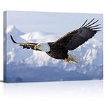 Canvas Wall Art - Flying Eagle Pict