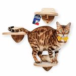 RshPets® Climbing Wall Cats - Set of 3 Cat Stairs - Cat Ladder - Cat Wall Elements - Round Steps for Cats - Diameter 20 cm (Light Colour)