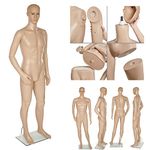 Male Mannequin Shop Window Mannequin, Rotatable and Portable, Metal Base with Calf pin - Models Male Free Next Working Day Delivery