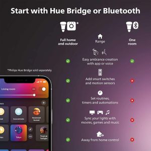 Philips Hue Gradient Lightstrip – 55 Inch Smart LED Strip