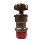 BHI Bronze Air Release Valve Screwed Male Ends (25 mm)