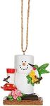 Ganz Smores Hummingbird Snowman Plastic Holiday Christmas Ornament