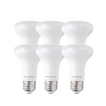 R20 Led Bulbs