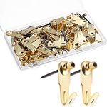 Jetec Plaster Picture Hangers Hooks Picture Gold Hanging Picture Kit with Nails for Plaster Wall Wooden Wall Drywall Mounting (50 Pieces,20 lbs)