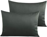 NTBAY 2 Pack 500 Thread Count 100% 