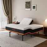 ESHINE Split Queen Adjustable Bed F