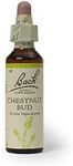 Bach Original Chestnut Bud Flower Remedies 20 ml