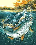 Awesocrafts Paint by Numbers Kits, Underwater World Carp, Fishermen Fishing Number Painting for Adults and Kids 16x20 inch (Carp, No Frame)