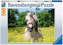 Ravensburger - White Horse 500 Pieces