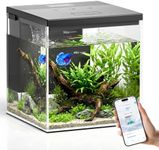 PAWGETHER® Smart Fish Tank, 2.4 Gallon Glass Aquarium with App Control, Betta Nano Tank Wireless Quiet Pump 5-Stage Filtration Water Flow Lighting Timers 11-Color Temp Monitor for Desk Home Office