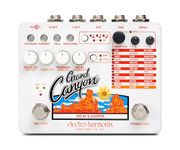 Electro Harmonix Grand Canyon Multifunction Delay & Looper Pedal w/Power Supply