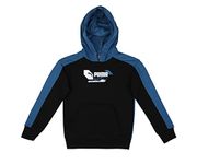Puma Boy's Cotton Hooded Neck Sweatshirt (67010517_Lake Blue_140)