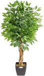 Christow Artificial Ficus Tree, Fak