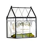 NCYP Glass Terrarium with Lid - Black Geometric Terrarium Planter for Cacti, Small Succulent Plant - 19 x 12.5 x 23 cm - Home Indoor Tabletop Closed Decorative Box (Terrarium Only)